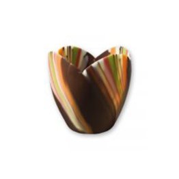 Tulipani choc afrodite