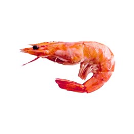 Gambero rosso sicilia iii 30/45pz/kg