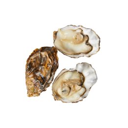 Ostriche concave oro diamantor francia