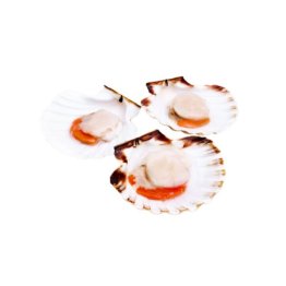 Cappasanta m/g 500 gr