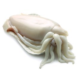Seppia pulita 40/60pz/kg