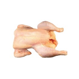 Gallina a busto leggera nazionale