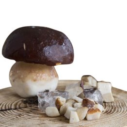 Funghi porcini a cubetti