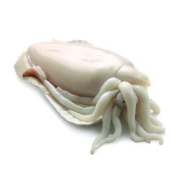 Seppia pulita 10/20pz/kg