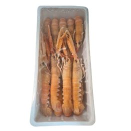 Scampo 20/30pz/kg scozia
