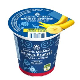 Yogurt intero banana