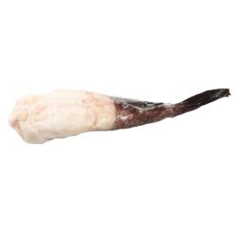 Rana pescatrice coda s/p 150/300 sudafri