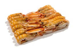 Scampo 10/15pz/kg porcupine irl