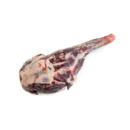 Coscia di cinghiale s/o