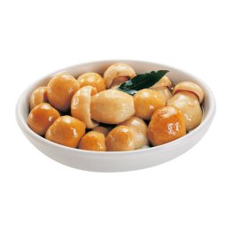 Funghi porcini interi o.oliva 300 gr