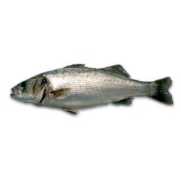 Branzino 400/600 cassa croazia