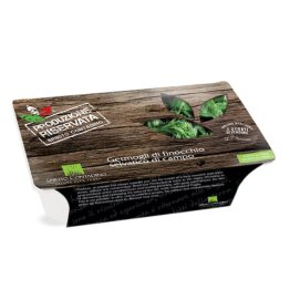 Germogli di finocchio selvatico di campo