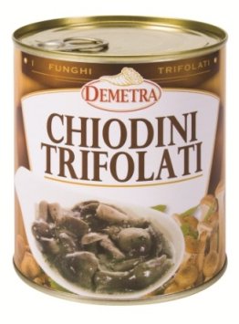Funghi chiodini trif. 800 gr