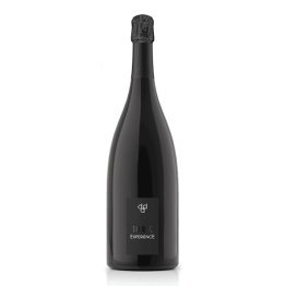 Vino prosecco magnum exper.valdobb. docg