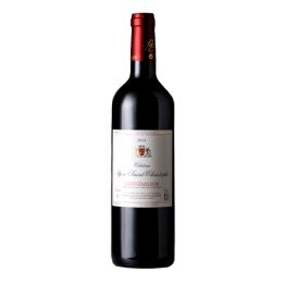 Vino bordeaux saint emilion chateau