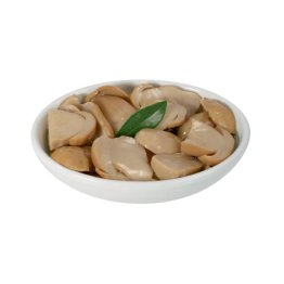 Funghi porcini tagl. o.oliva 3kg