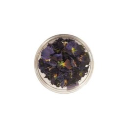 Viole scure disidratate