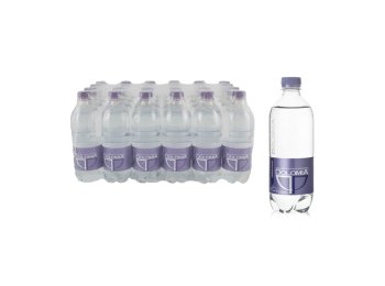 Acqua frizzante pet 500 ml