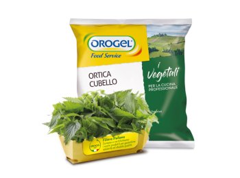Ortica cubo orogel