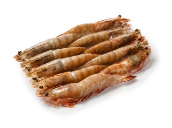 Mazzancolla u/10 pz/kg ecuador