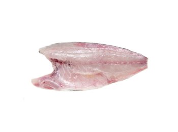 Filetto ricciola c/p 1500/2000 gr