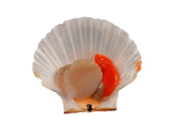 Cappasanta m/g 8/12pz/kg