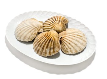 Cappasanta intera 6/8pz/kg c/cor