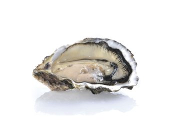 Ostrica concava m/g 48pz/ct bretagna