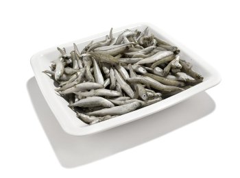 Latterino (acquadella) turchia