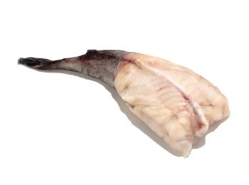 Rana pescatrice coda 1000 up namibia