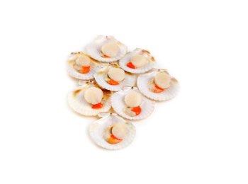 Cappasanta m/g 20/30pz/kg