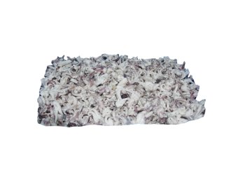 Calamaro del pacifico ciuffo