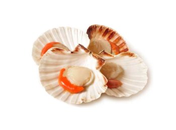 Cappasanta m/g 30/40pz/kg