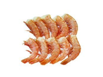 Gambero coda c/g arg c2 c.terra