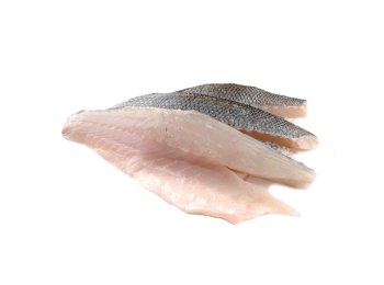 Filetto branzino c/p 160/200 gr pbo