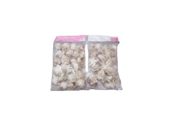 Polpo indopacifico 60/up