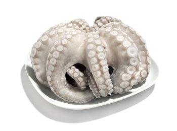 Polpo t4 1500/2000 gr premium marocco