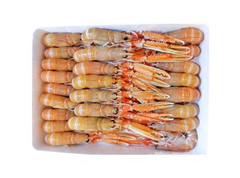 Scampo 41/50pz/kg c/bordo irl