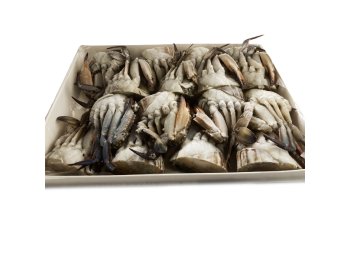 Granchio tagliato a metà