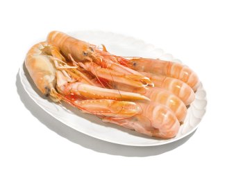 Scampo 4/7 pz/kg laeso dk