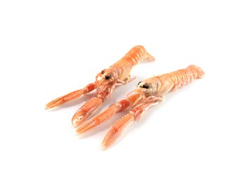 Scampo 30/40pz/kg cong.vivo