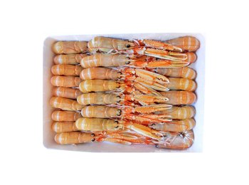 Scampo 21/30pz/kg labadie c/bordo irl