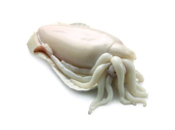 Seppia pulita 20/40pz/kg