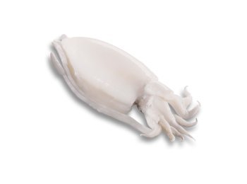 Seppia pulita 50/100 gr premium