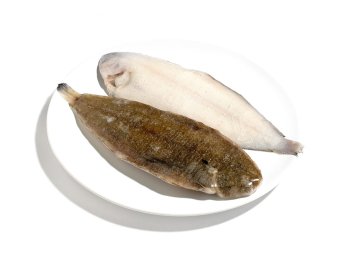 Sogliola dover n 3 nl