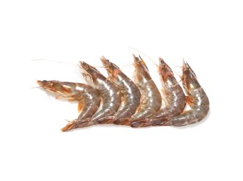 Mazzancolla 20/30 pz/kg ecuador