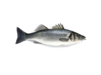Branzino 400/600 grecia