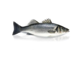 Branzino 600/800 grecia