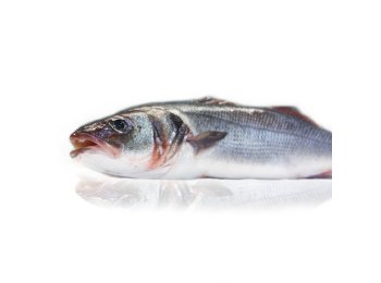 Branzino 300/400 croazia