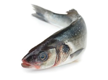 Branzino 400/600 croazia